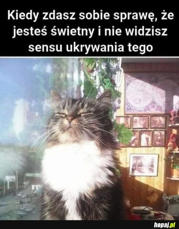 Oczywiście xd