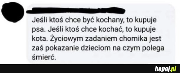 
    Chomik nauczył