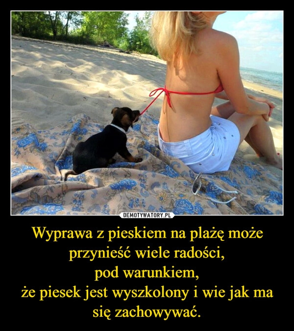 
    Wyprawa z pieskiem na plażę może przynieść wiele radości,
pod warunkiem,
że piesek jest wyszkolony i wie jak ma się zachowywać.