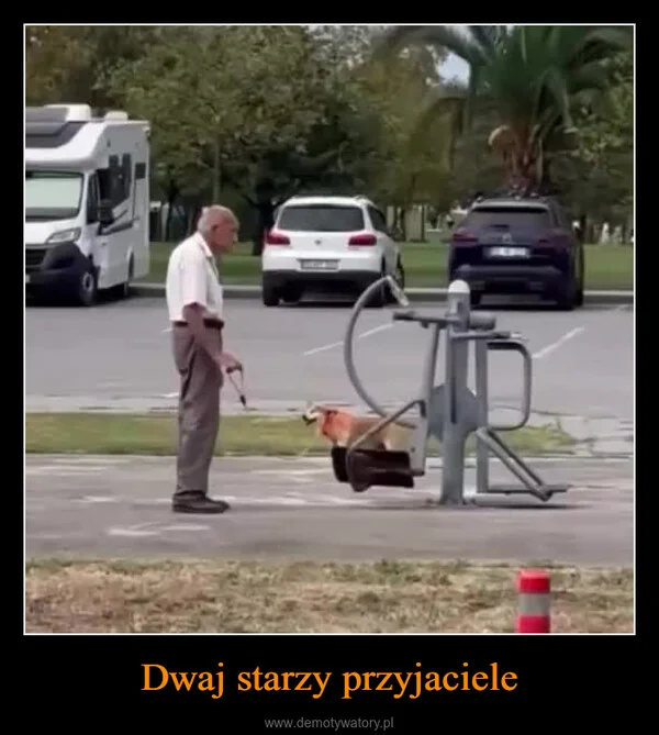 
    Dwaj starzy przyjaciele