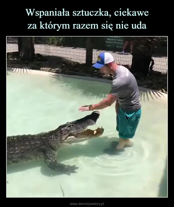 Wspaniała sztuczka, ciekawe za którym razem się nie uda