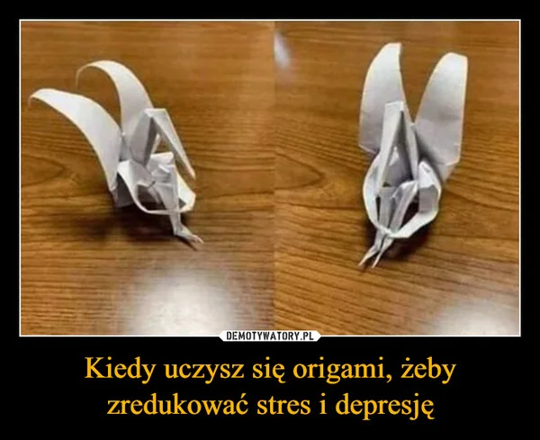 
    Kiedy uczysz się origami, żeby zredukować stres i depresję