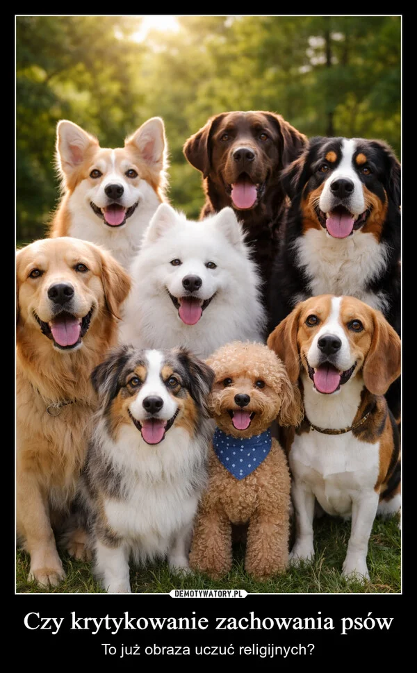 
    Czy krytykowanie zachowania psów