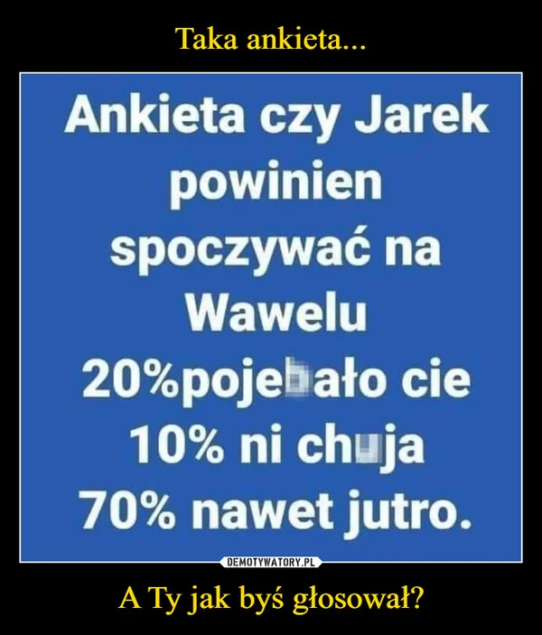 Taka ankieta... A Ty jak byś głosował?
