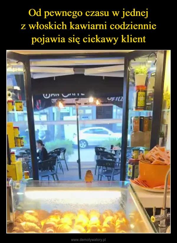 
    Od pewnego czasu w jednej z włoskich kawiarni codziennie pojawia się ciekawy klient