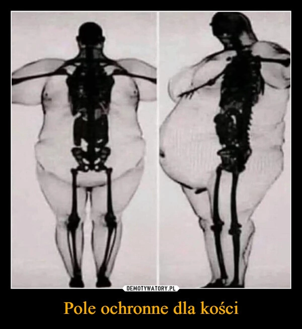 
    Pole ochronne dla kości