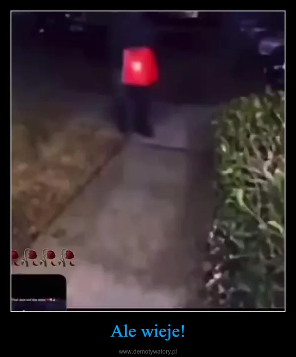 
    Ale wieje!
