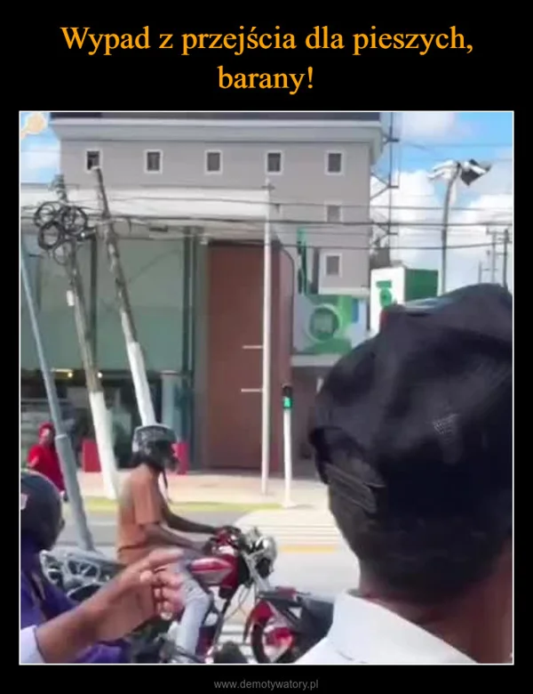 
    Wypad z przejścia dla pieszych, barany!