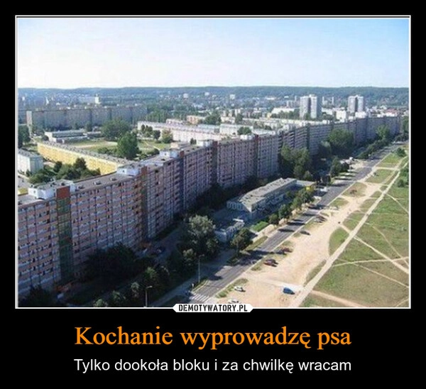 
    Kochanie wyprowadzę psa