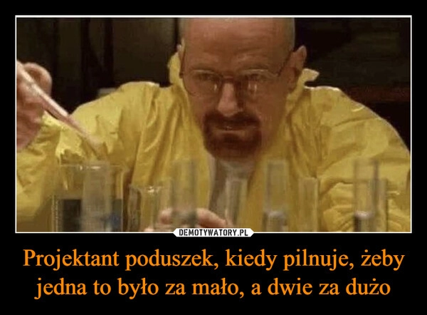 
    Projektant poduszek, kiedy pilnuje, żeby jedna to było za mało, a dwie za dużo