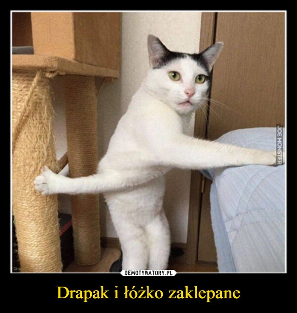 
    Drapak i łóżko zaklepane