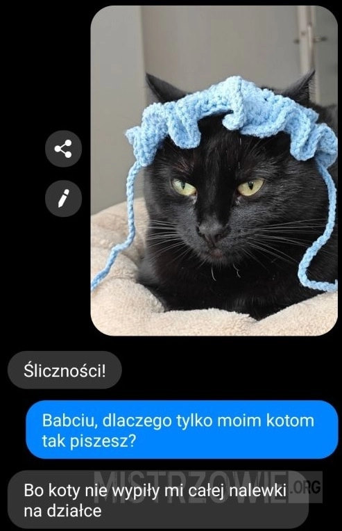 
    Kot