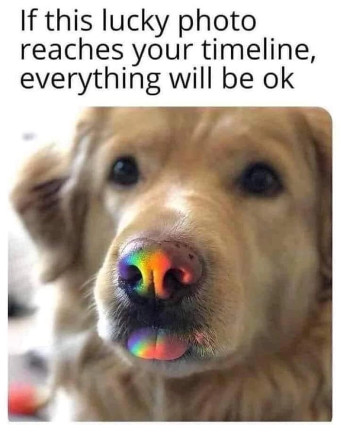 
    Everything will be ok
