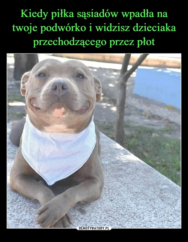 
    Kiedy piłka sąsiadów wpadła na twoje podwórko i widzisz dzieciaka przechodzącego przez płot