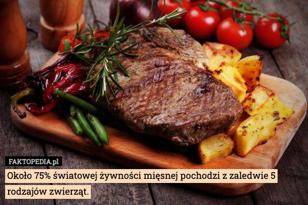 
    Około 75% światowej żywności mięsnej pochodzi z zaledwie 5 rodzajów zwierząt.