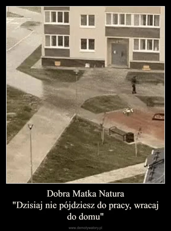 
    Dobra Matka Natura 