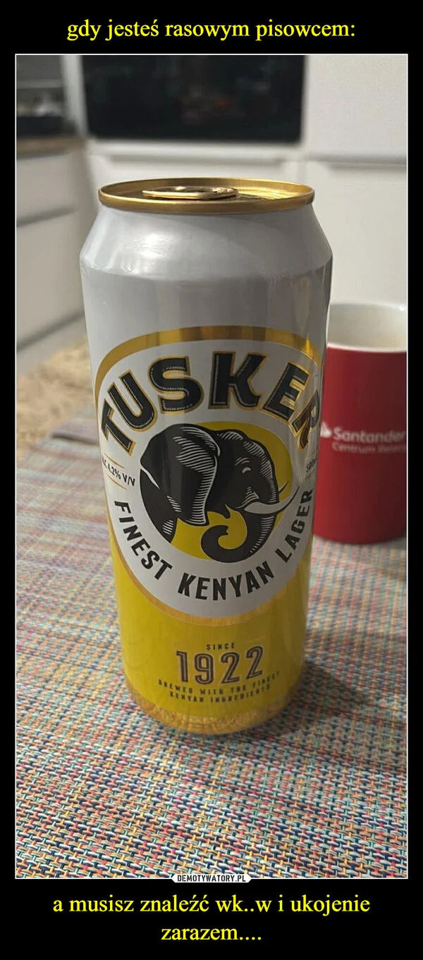 
    gdy jesteś rasowym pisowcem: a musisz znaleźć wk..w i ukojenie zarazem....