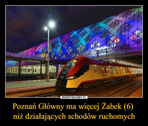Poznań Główny ma więcej Żabek (6) 
niż działających schodów ruchomych
