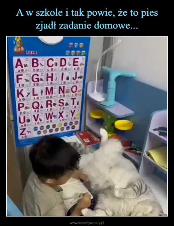 
    A w szkole i tak powie, że to pies zjadł zadanie domowe...