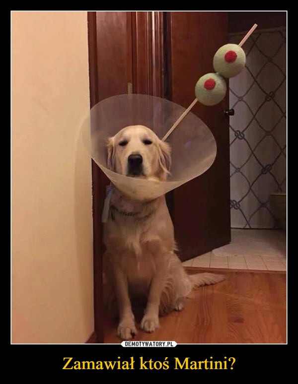 
    Zamawiał ktoś Martini?