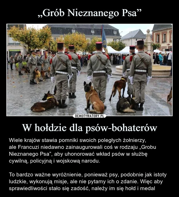 
    
„Grób Nieznanego Psa” W hołdzie dla psów-bohaterów 