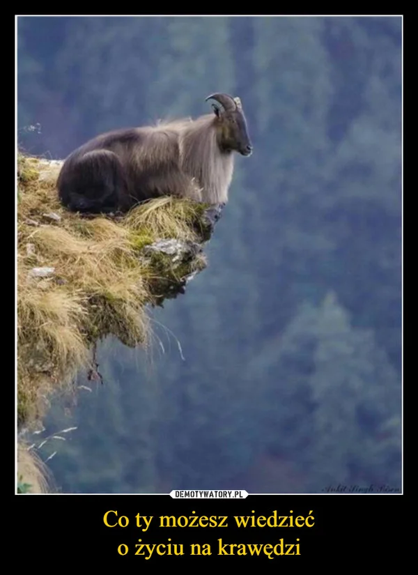 
    Co ty możesz wiedzieć o życiu na krawędzi