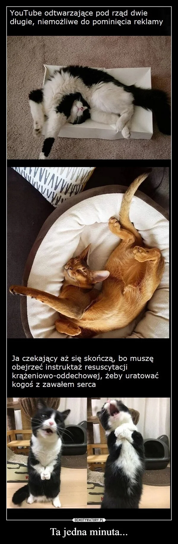 
    Ta jedna minuta...