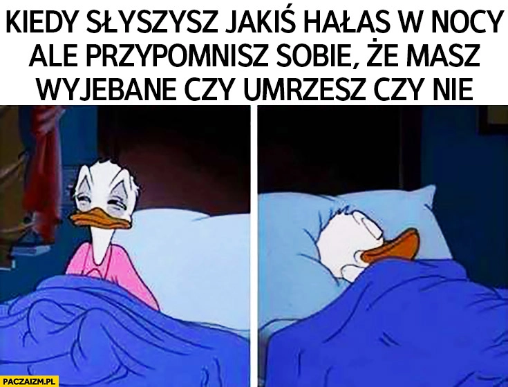
    Kiedy słyszysz jakiś hałas w nocy ale przypomnisz sobie, że masz wyjechane czy umrzesz czy nie Donald