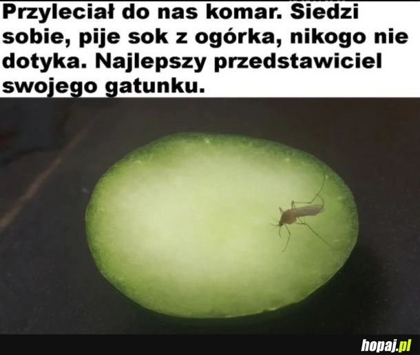 
    Przynajmniej jeden normalny