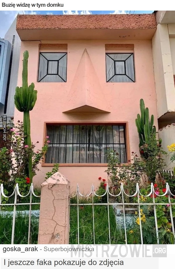 Buzię widzę w tym domku