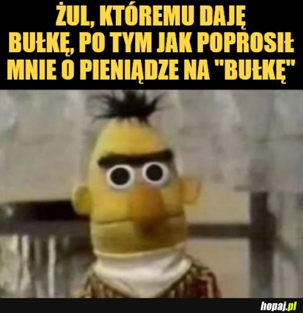 Żul. 