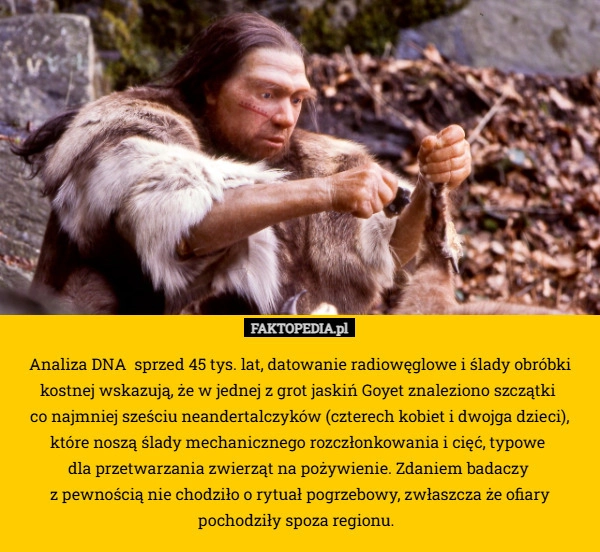 Analiza DNA  sprzed 45 tys. lat, datowanie radiowęglowe i ślady obróbki
