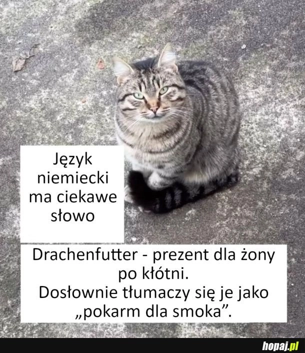 Interesujące słowo