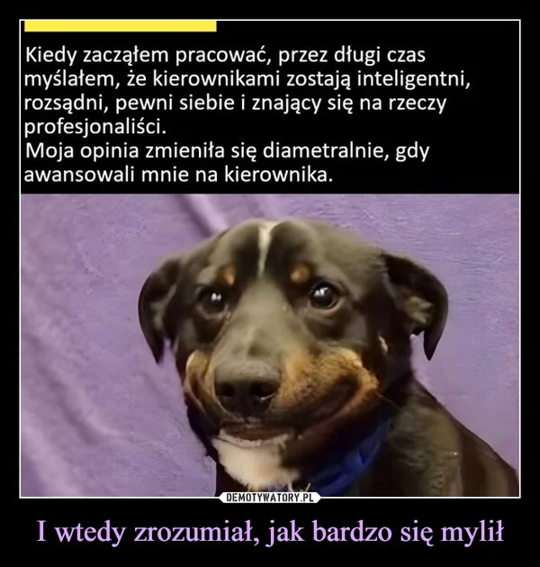 
    I wtedy zrozumiał, jak bardzo się mylił