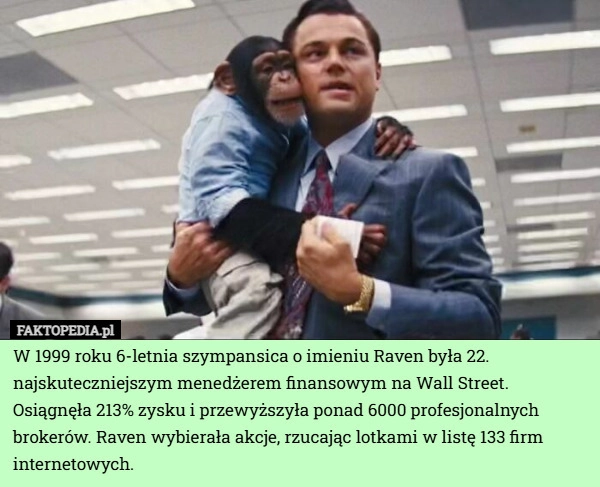 
    W 1999 roku 6-letnia szympansica o imieniu Raven była 22. najskuteczniejszym