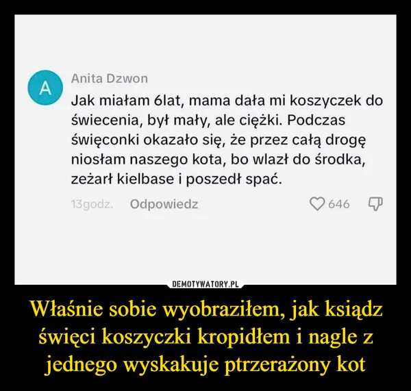 
    Właśnie sobie wyobraziłem, jak ksiądz święci koszyczki kropidłem i nagle z jednego wyskakuje ptrzerażony kot