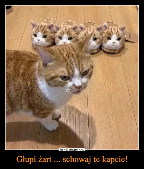 
    Głupi żart ... schowaj te kapcie!