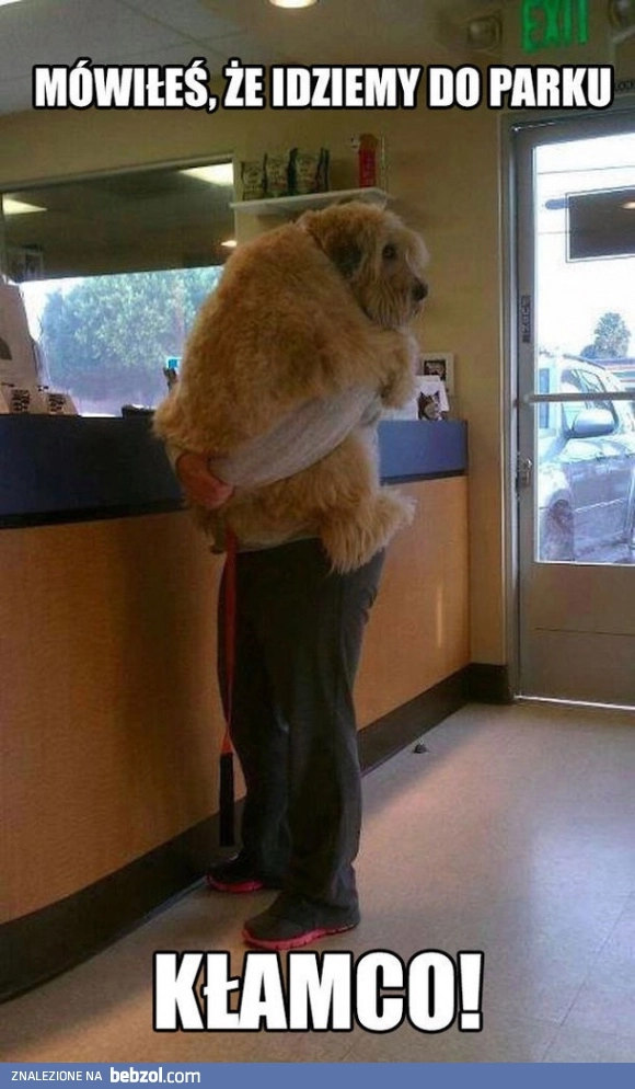 To miał być spacer!