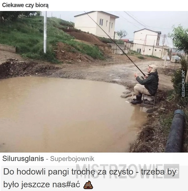 
    Ciekawe czy biorą