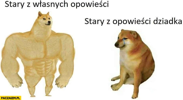 
    Doge pieseł stary z własnych opowieści vs stary z opowieści dziadka