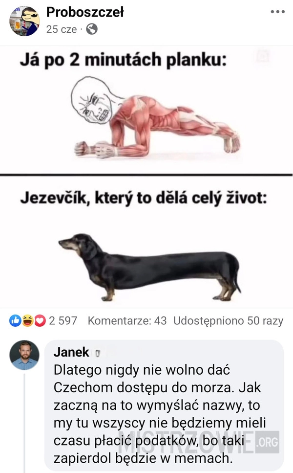 
    Czeski