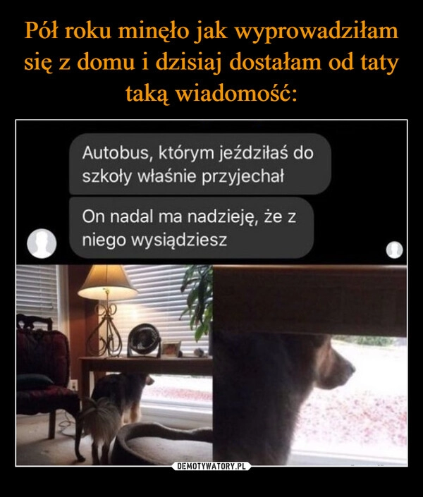
    
Pół roku minęło jak wyprowadziłam się z domu i dzisiaj dostałam od taty taką wiadomość: 