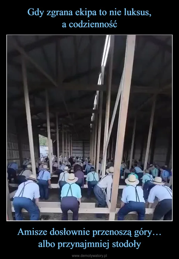 
    Gdy zgrana ekipa to nie luksus, a codzienność Amisze dosłownie przenoszą góry… albo przynajmniej stodoły