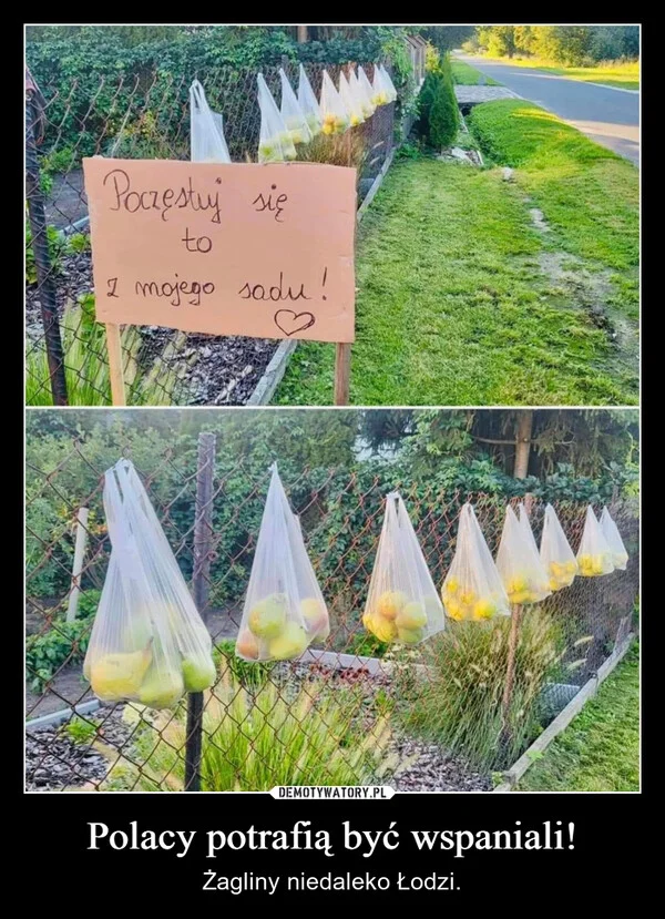 
    Polacy potrafią być wspaniali!