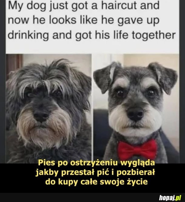 
    Ułożył sobie życie