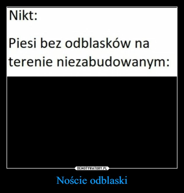 
    Noście odblaski