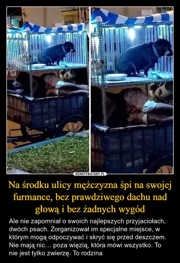 
    Na środku ulicy mężczyzna śpi na swojej furmance, bez prawdziwego dachu nad głową i bez żadnych wygód