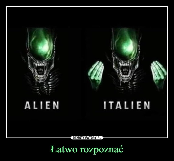 
    
Łatwo rozpoznać 