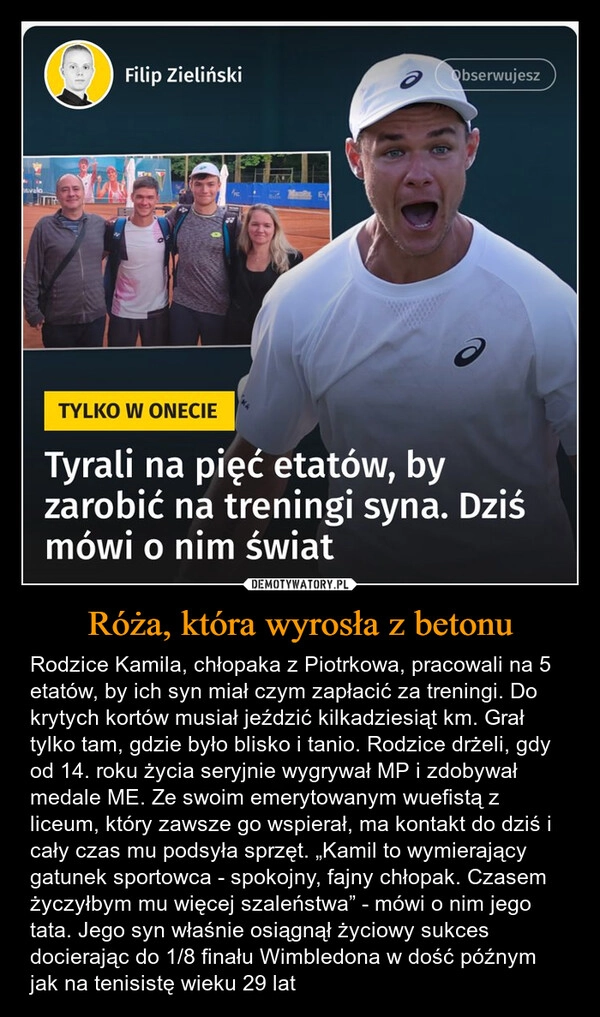 Róża, która wyrosła z betonu