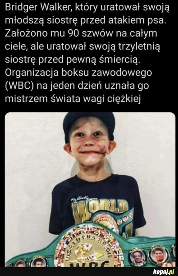Kozak, mam nadzieję, że wszystko u niego dobrze